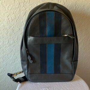 Coach: Gray & Blue Varsity Stripe (F72226) Unisex Sling Bag/Backpack-Silver tone